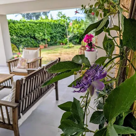 Apartamento Sara